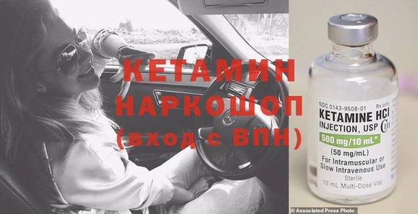 ПСИЛОЦИБИНОВЫЕ ГРИБЫ Горно-Алтайск