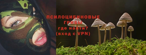 альфа пвп Горняк