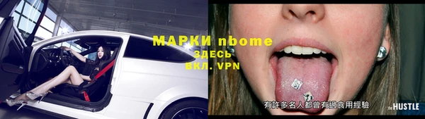 гашик Козельск