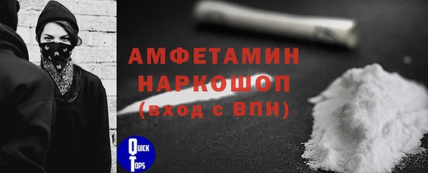 ПСИЛОЦИБИНОВЫЕ ГРИБЫ Горно-Алтайск