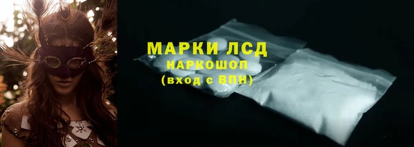 ПСИЛОЦИБИНОВЫЕ ГРИБЫ Горно-Алтайск