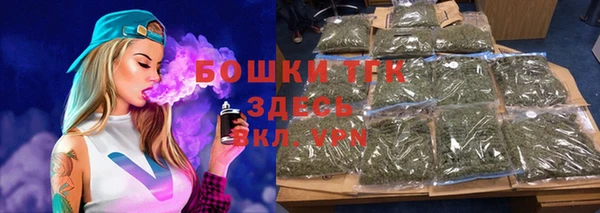 твердый Горнозаводск