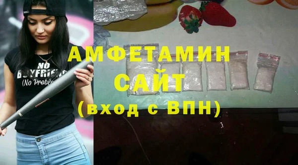 ПСИЛОЦИБИНОВЫЕ ГРИБЫ Горно-Алтайск