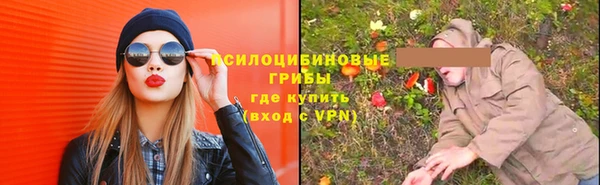ПСИЛОЦИБИНОВЫЕ ГРИБЫ Горно-Алтайск