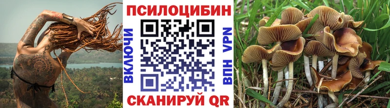 Галлюциногенные грибы мицелий Новоуральск